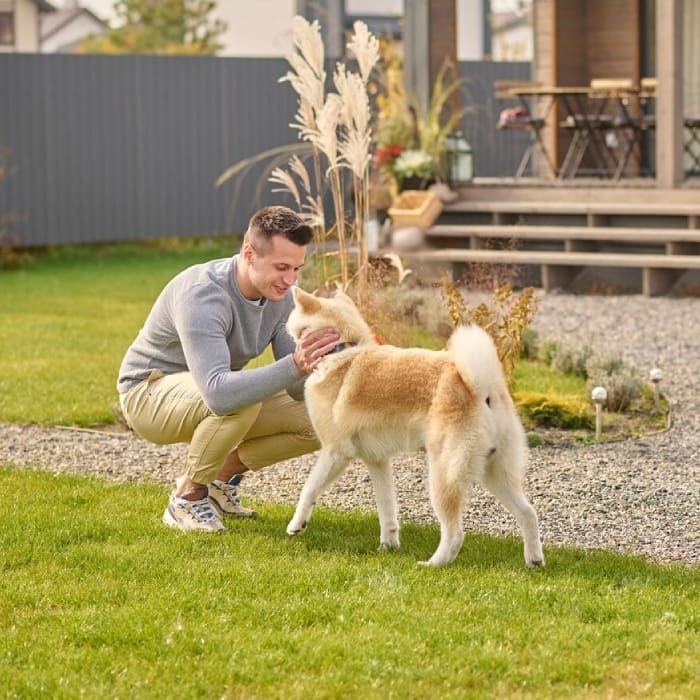 Young adult smiling man in casual clothes crouching touching looking at his dog